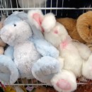 stuffed bunnies photoshop contest