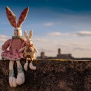 stuffed rabbits photoshop contest