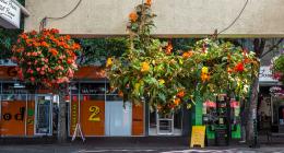 HangingBaskets