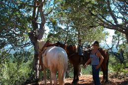 The trail; with great company! Picture