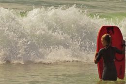 Surfs up!