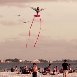 KiteFlying