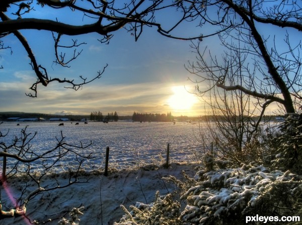 Across the Snowfield