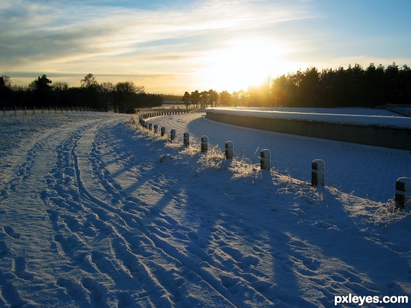 Snowy Sunset