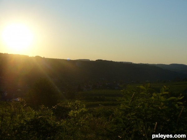 Sunny over Grassy land 