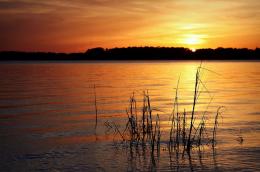 Hilton Head, NC