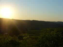 Sunny over Grassy land 