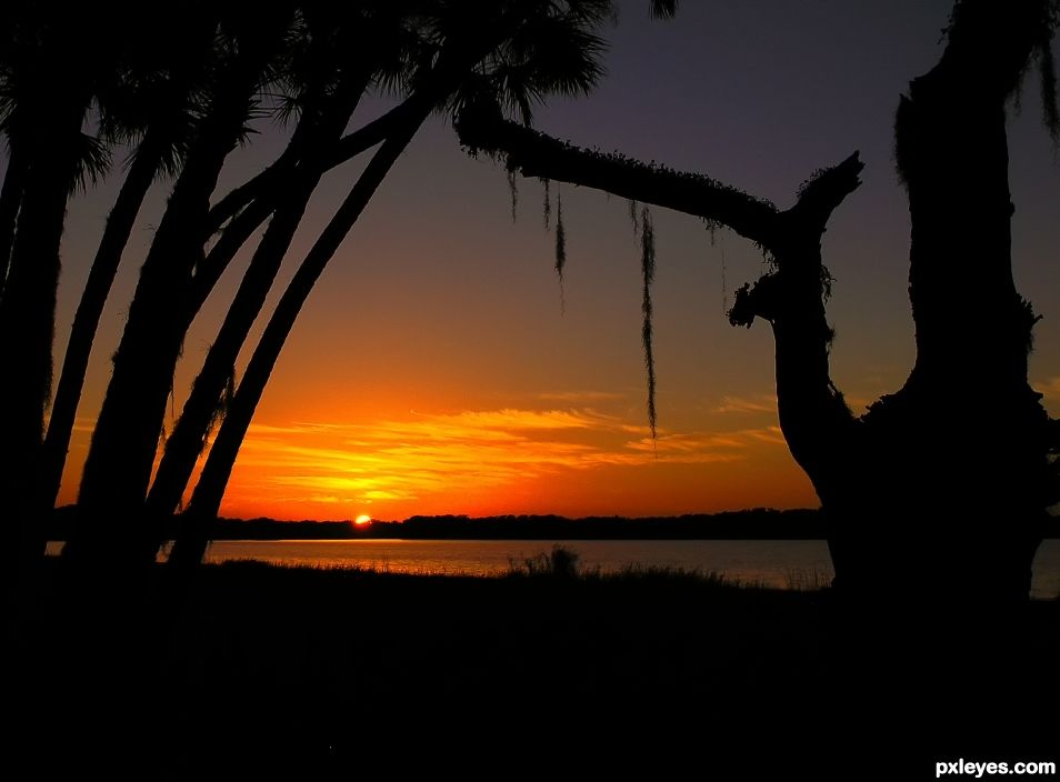 Sarasota Sunset