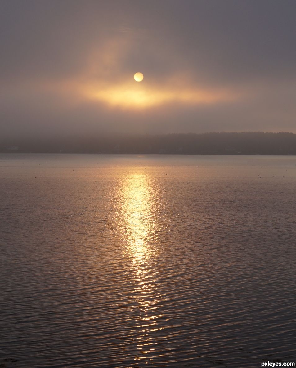 The marine layer