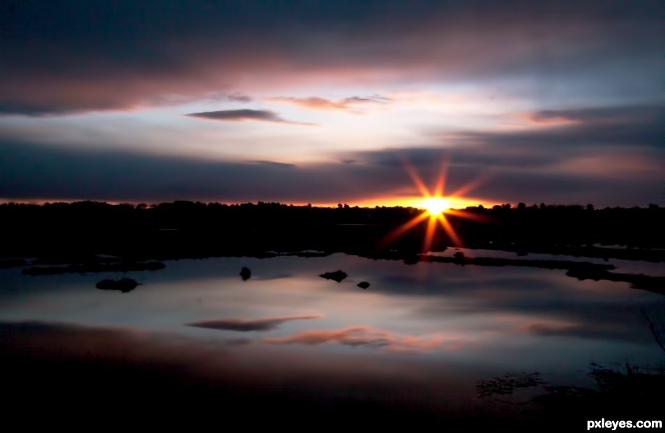 Soft dawn over a Maine Marsh