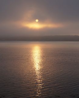 The marine layer