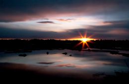 Soft dawn over a Maine Marsh