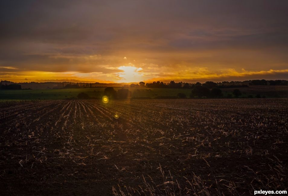 Ghosts in the field