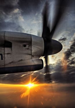 flying high