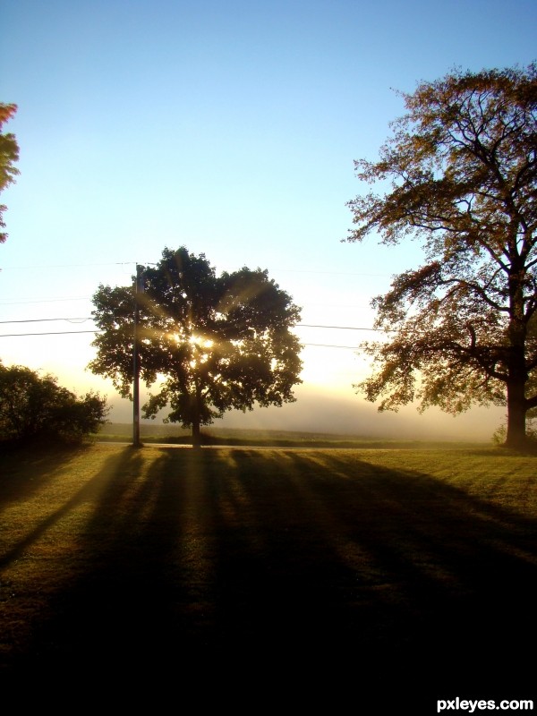 Misty Sunrise Flare