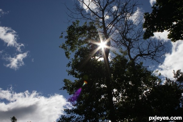 Sun Flare Rainbow