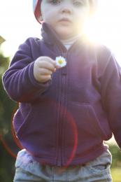 Giving a flower