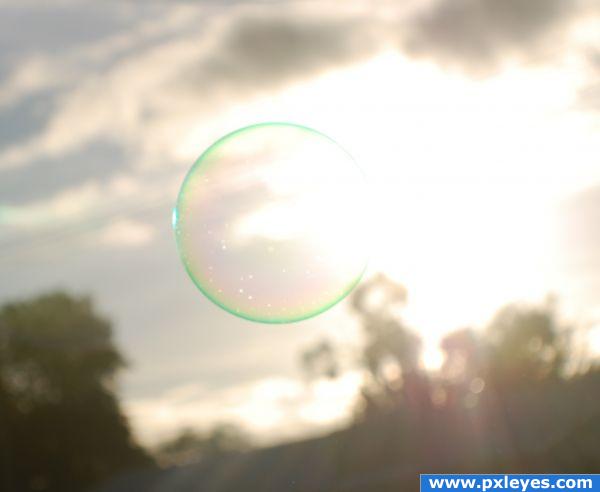 sunny bubble