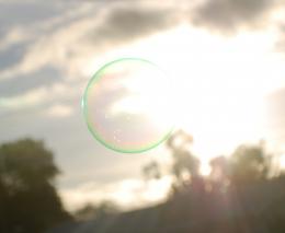 sunny bubble