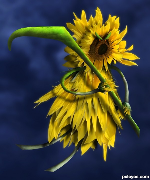 Creation of The Flower Reaper: Final Result