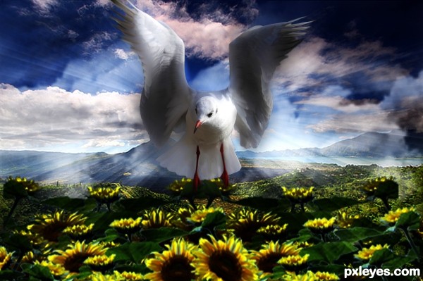 flower gull