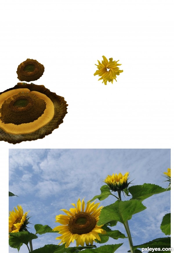 Creation of Where are they: Step 1