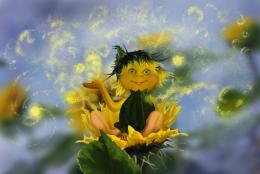 Sunflower fairy