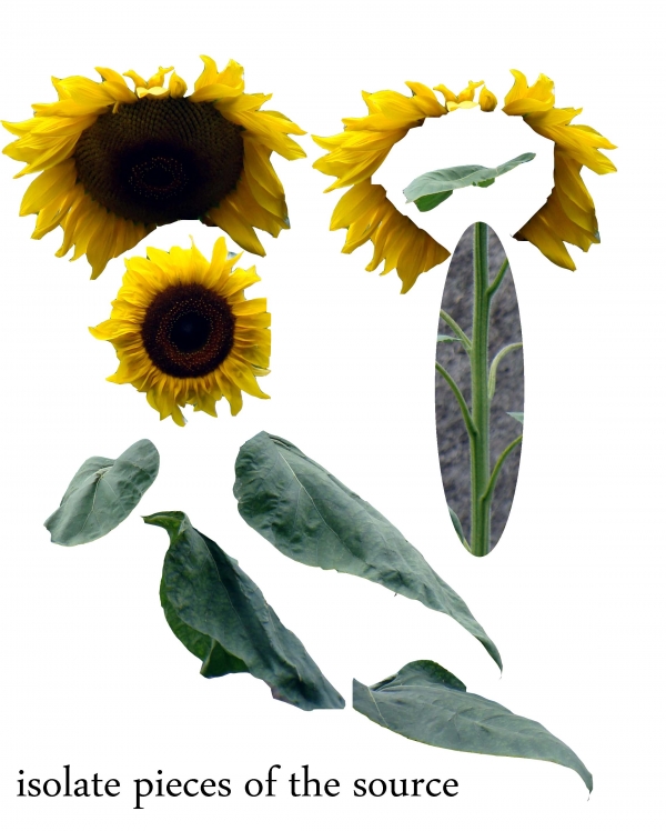 Creation of Sunflower on Fire: Step 1