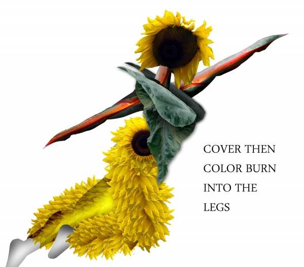 Creation of Sunflower on Fire: Step 9