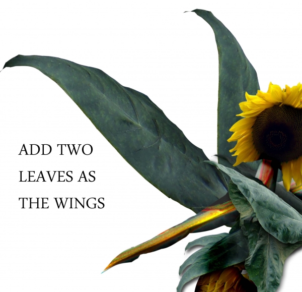 Creation of Sunflower on Fire: Step 11