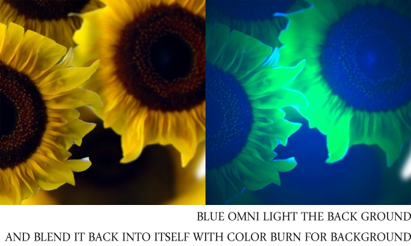 Creation of Sunflower on Fire: Step 14
