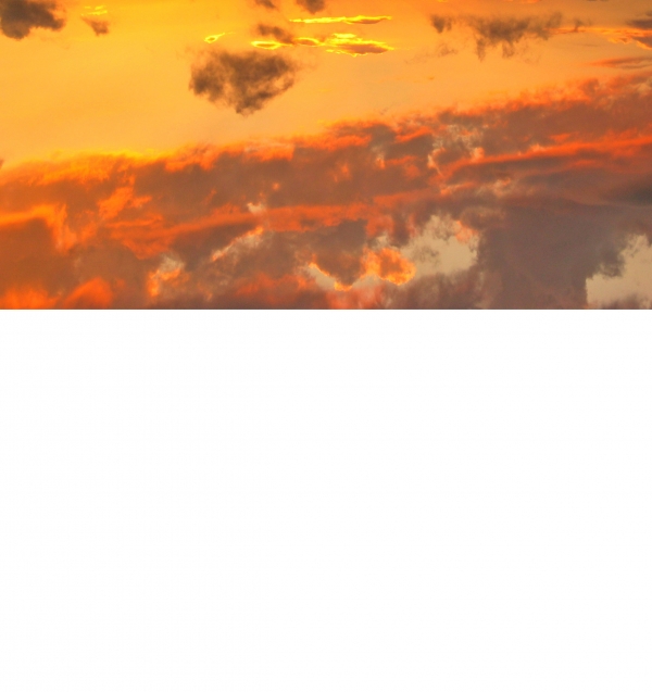 Creation of Sunset Flowers: Step 1
