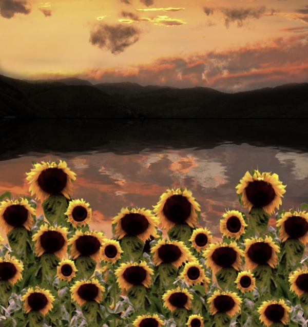 Creation of Sunset Flowers: Step 6