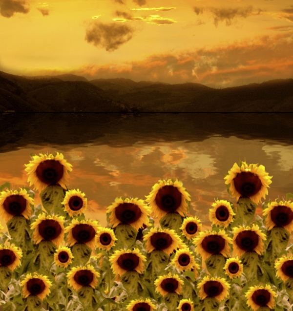 Creation of Sunset Flowers: Step 7