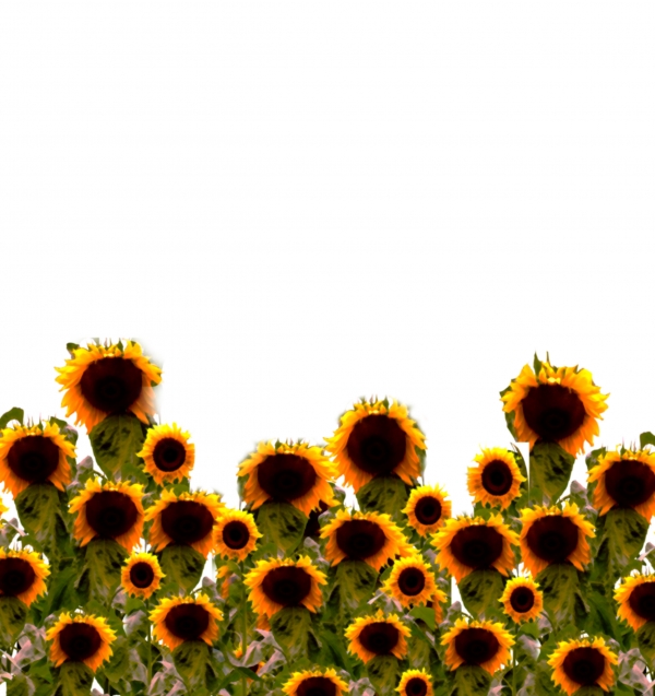 Creation of Sunset Flowers: Step 5