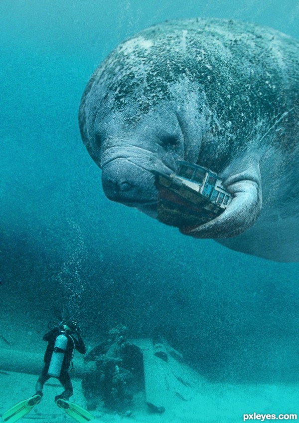 Oh the Huge Manatee!