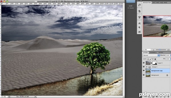 Creation of The wild side: Step 2