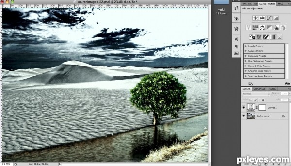 Creation of The wild side: Step 4