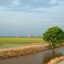 sunny landscape source image