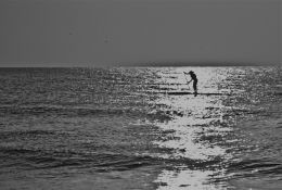 Stand up paddling at sunrise in the ocean