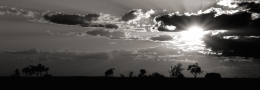 Sunset in the Outback