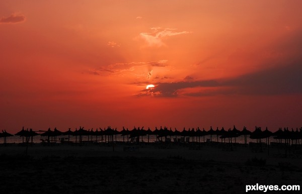 Lonely beach