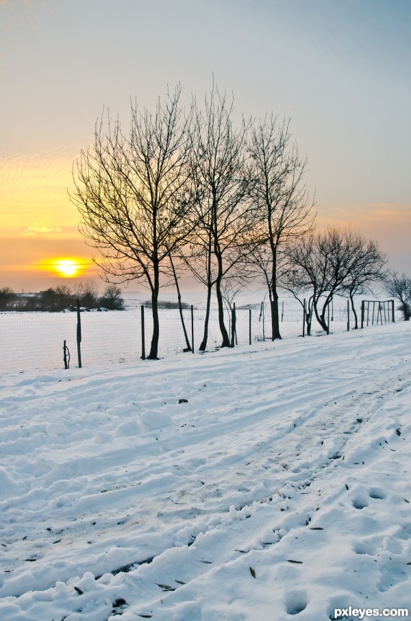 Winter sunset