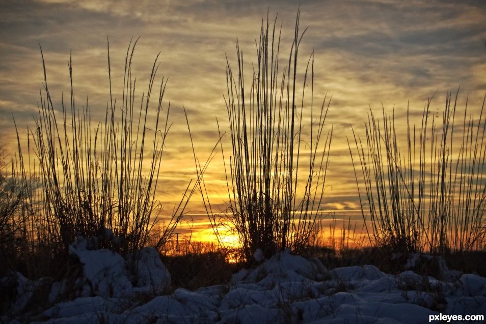 Evening Glow