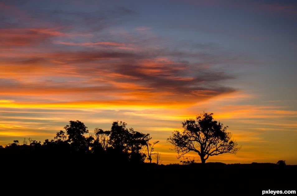 Summer sunrise