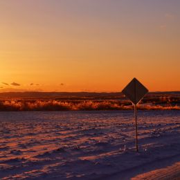 FrigidDawn