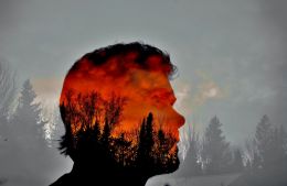 Sunset Guy