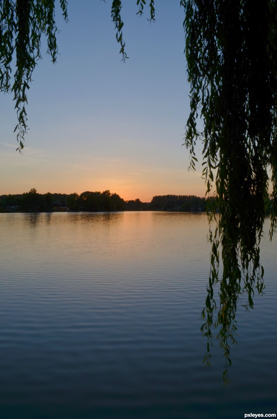 Sunset on the pond