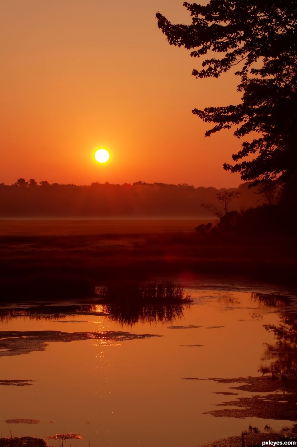 Sunrise Over a Salt Marsh