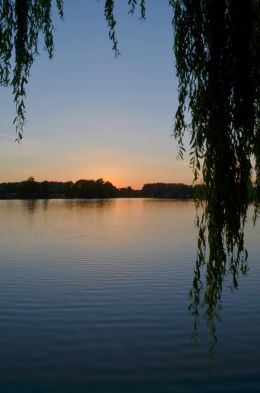 Sunset on the pond